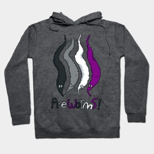 Ace Worms! Hoodie